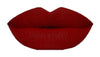 “Fabulous” Color Me Bad Matte Liquid lipstick